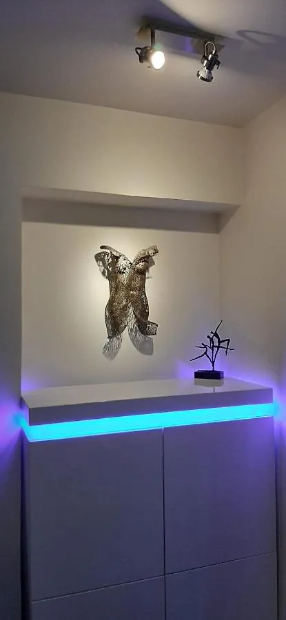 Cannes Riviera Apartment